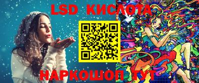 СК Канаш